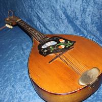 Mandolino tedesco marca Double Anchor