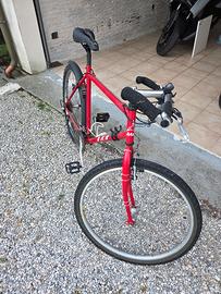 Bicicletta Mountain Bike