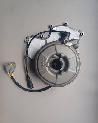 Coperchio alternatore Ducati