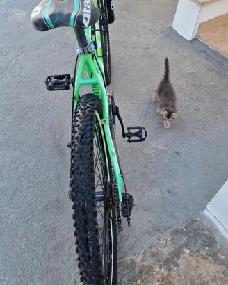 mtb 27,5, m.  atala 