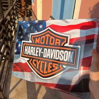 Targa Harley Davison nostalgic-art harley