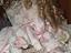 Immagine 6