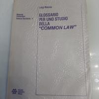 Glossario per uno studio della common law Moccia