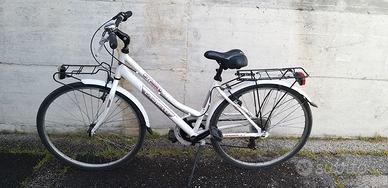 Bici olanda Carnielli
