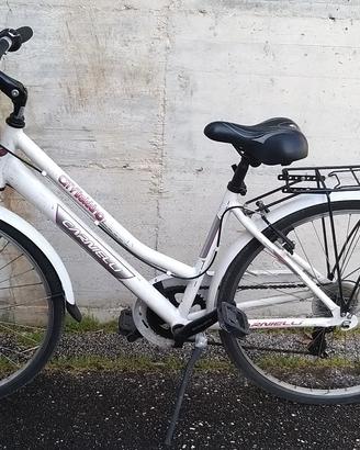 Bici olanda Carnielli