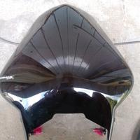 cupolino per Yamaha Fazer FZ6 