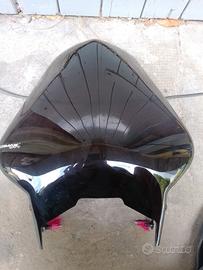 cupolino per Yamaha Fazer FZ6 