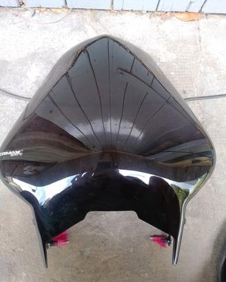 cupolino per Yamaha Fazer FZ6 
