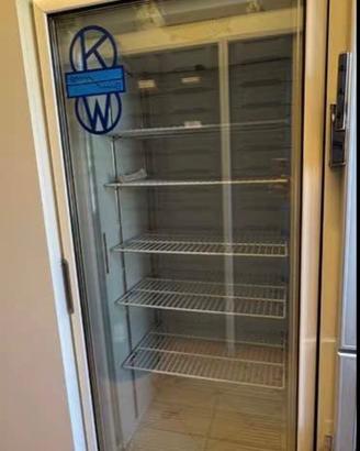 Freezer vetrina KW