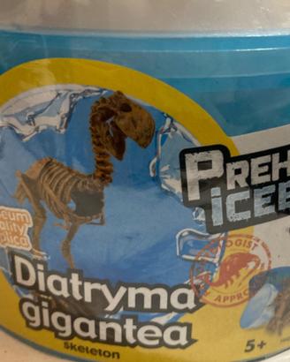 Dinosauro da assemblare Nuovo