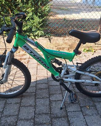 Mountain Bike Storm Armadillo 20"