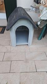 Casetta per cani