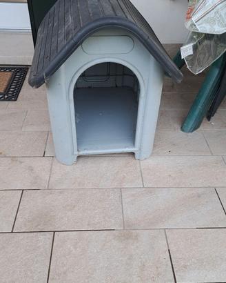 Casetta per cani