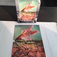 Puzzle "scoiattolo" Globo 500 pezzi