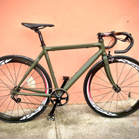 Bici scatto fisso/fixed full carbon