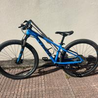 Trek mtb
