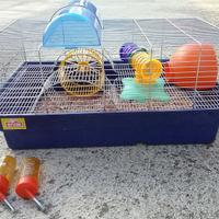 GABBIA per roditori 57-35-25cm