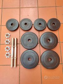 2 manubri da 10 kg