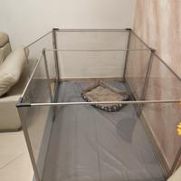 recinto box per cani