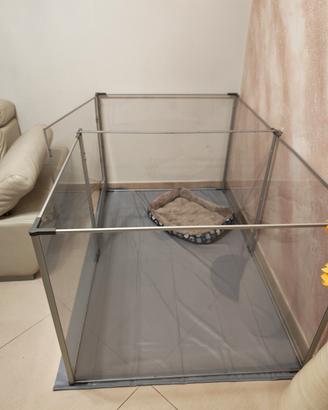 recinto box per cani