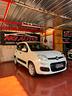 fiat-panda-1-2-easy-perfetta-2019