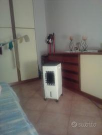 Condizionatore portatile caldo e freddo 
