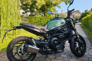 Benelli Leoncino 800