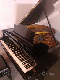 Pianoforte a coda Bluthner