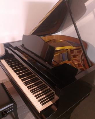 Pianoforte a coda Bluthner