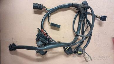 Cablaggio anteriore Ducati Multistrada 1000 DS Mts