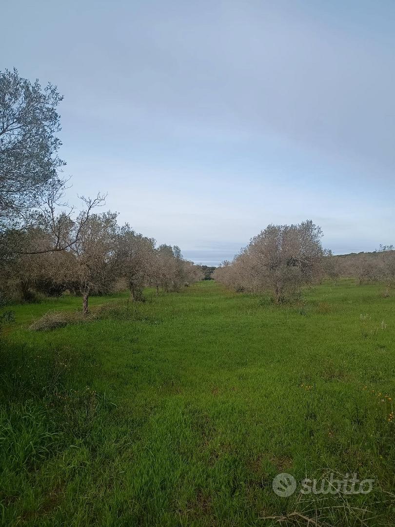 Terreno edificabile 1 ha - Vista 5