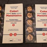Colori della matematica 9788849422368