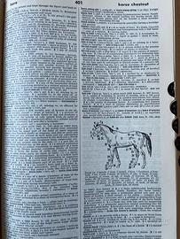 Webster’s seventh new collegiate dictionary