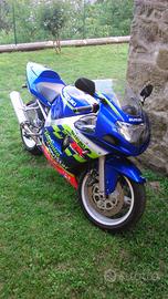 Suzuki Gsx-r 600 Telefonica