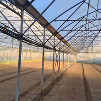 Serra multipla - struttura professional