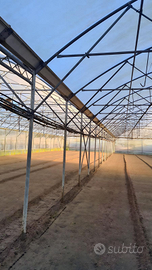 Serra multipla - struttura professional