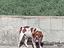 Immagine 1