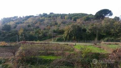 Fuorigrotta Via Cupa Terracina rif. 100T