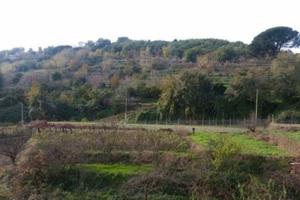 Fuorigrotta Via Cupa Terracina rif. 100T