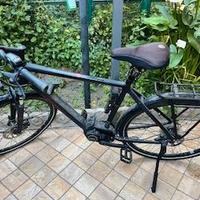 Bicicletta elettrica a pedalata assistita