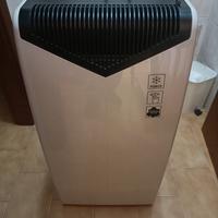 Condizionatore, Climatizzatore portatile