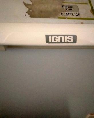 congelatore ignis