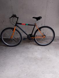 montanbik 