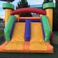 Gioco gonfiabile professionale doppio scivolo