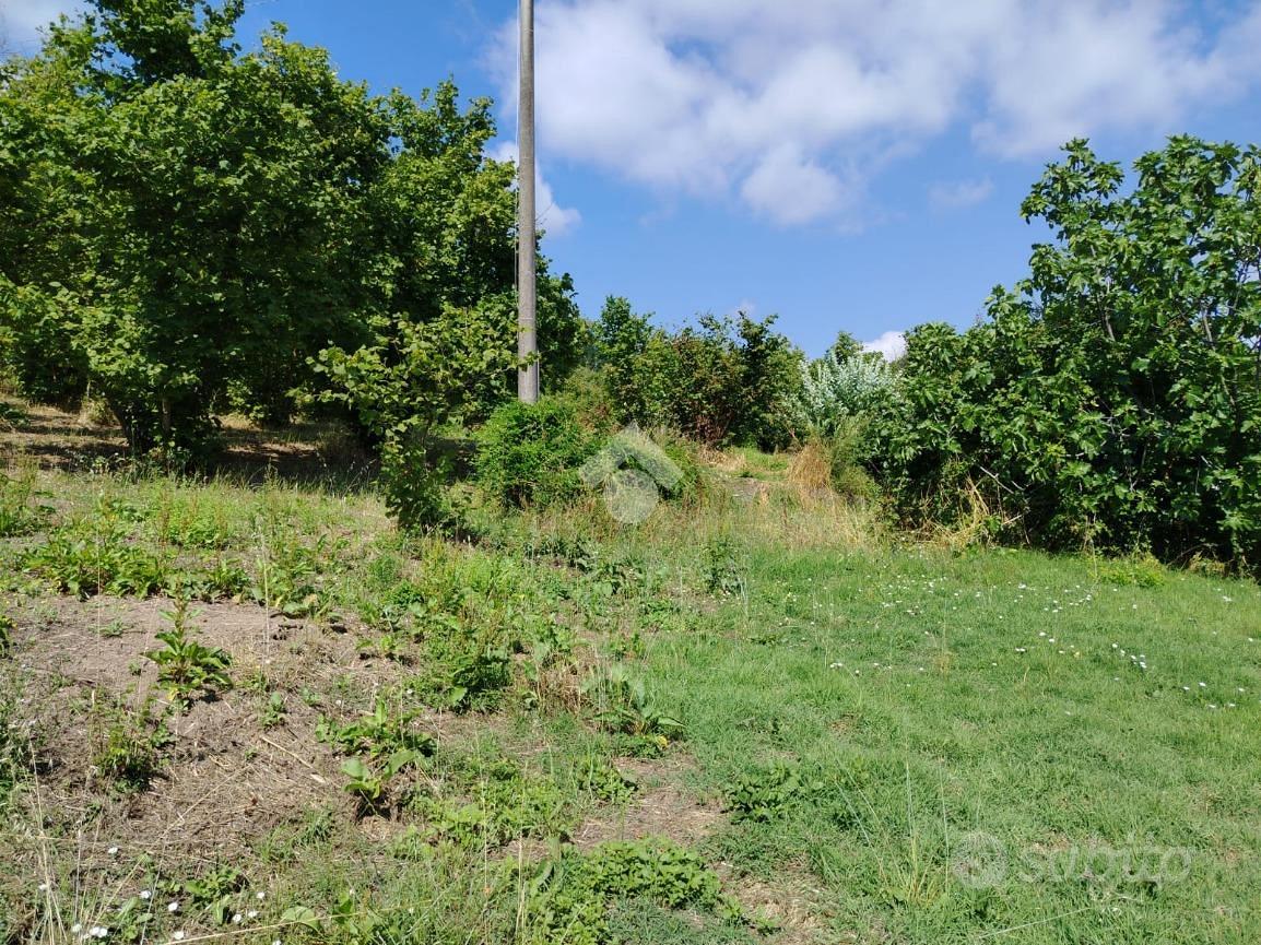 TER. AGRICOLO A MONTEFREDANE - Vista 4