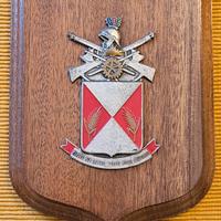 Crest Reggimento Logistico Sassari