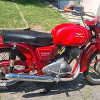 moto guzzi lodola 235