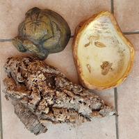 TECA RETTILAIO SERPENTE IGUANA GECO