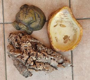 TECA RETTILAIO SERPENTE IGUANA GECO