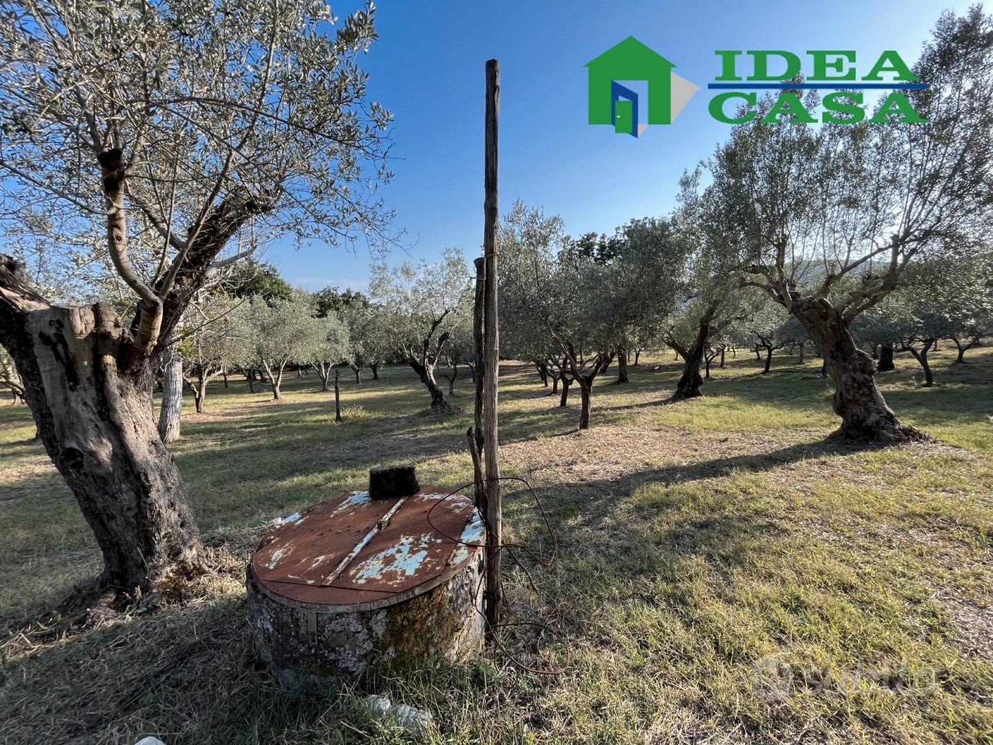 1.974 Terreno Agricolo Pianeggiante - Vista 3